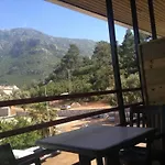 Lycian Center *
