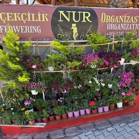 Lycian Center 호텔 *