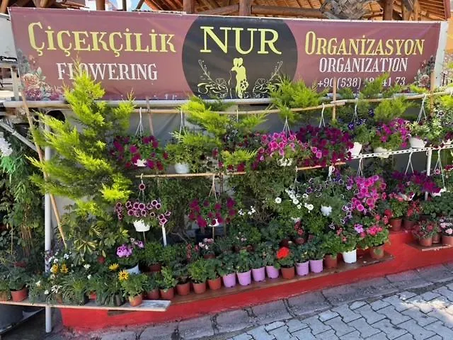 Lycian Center Hotell *